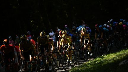 Tour de France : les coureurs sur les pentes du Vercors