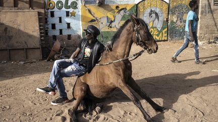 Faso Alli est l’un de ces passionnés de chevaux que l’on nomme ici "les cowboys". Après des débuts comme simple jockey à l'âge de 10 ans, il a sillonné l'Afrique de l'Ouest, du Mali au Sénégal, où il affirme s'être produit lors de l'inauguration du monument de la Renaissance africaine de Dakar, en 2010. (JOHN WESSELS / AFP)