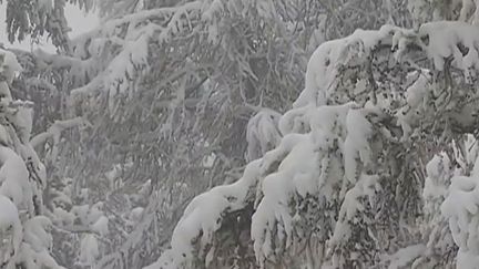 La neige fait son retour dans les Alpes