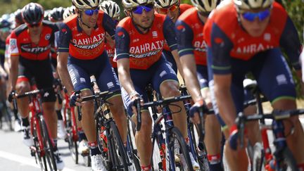 La formation Bahrain-Merida sur les routes du Tour d'Italie 2017, son premier Grand Tour. (LUK BENIES / AFP)