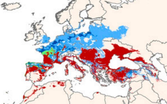 Selon l'&eacute;tude publi&eacute;e dans la revue "PNAS" le 8 avril 2013, les r&eacute;gions en bleu pourraient profiter du changement climatique d'ici 2050, tandis que celles en rouge pourraient en souffrir. (PNAS.ORG / FRANCETV INFO )