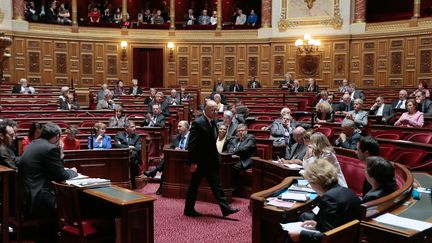 L'h&eacute;micycle du S&eacute;nat, en septembre 2013. (JACQUES DEMARTHON / AFP)