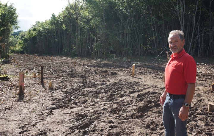 Michel, retraité habitant à Mandres, montre les "trouées" effectuées par l'Andra dans le bois de son enfance, le 29 juin 2016.&nbsp; (JULIE RASPLUS / FRANCETV INFO)