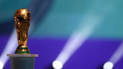 La Coupe du monde, pr&eacute;sent&eacute;e lors du tirage au sort organis&eacute; vendredi 6 d&eacute;cembre 2013, &agrave; Costa do Sauipe (Br&eacute;sil). (VANDERLEI ALMEIDA / AFP)