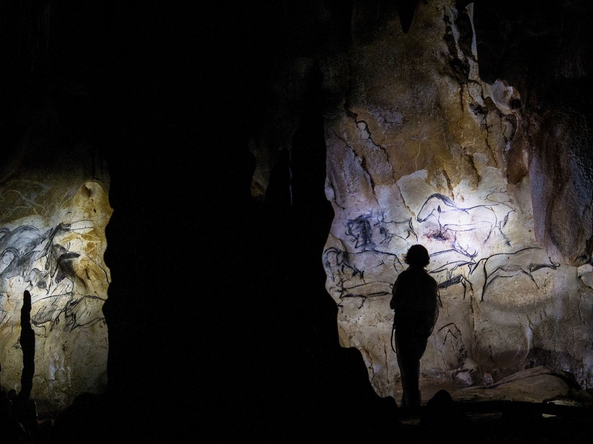 Grotte Chauvet Une Chronologie Precise Des Occupations A Ete Etablie