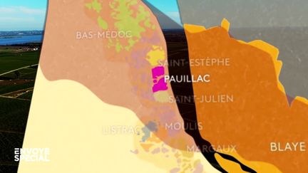 Dans le Médoc, un  "couloir de pauvreté" se superpose à la carte des grands crus