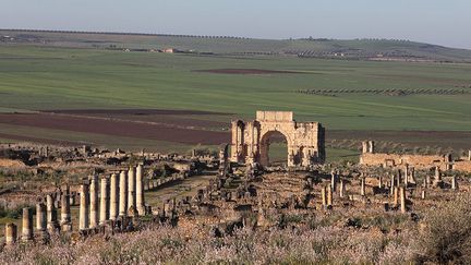 Volubilis (Manuel Cohen /AFP)