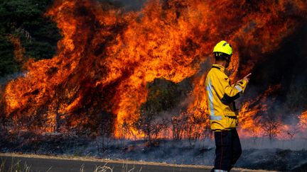 Le feu a pris à cheval entre la Lozère et l'Aveyron,&nbsp;dans les gorges du Tarn, lundi 8 août.&nbsp; (RENAUD BALDASSIN / MAXPPP)