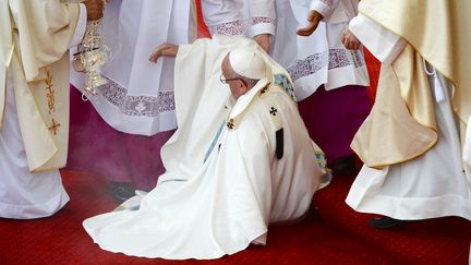 Le pape François a fait une chute sans gravité, jeudi 28 juillet 2016 à&nbsp;Czestochowa (Pologne). (FILIPPO MONTEFORTE / AFP)