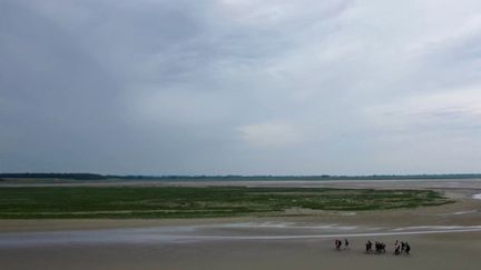 Tourisme&nbsp;: impression de bout du monde à la Baie de Somme (FRANCE 2)