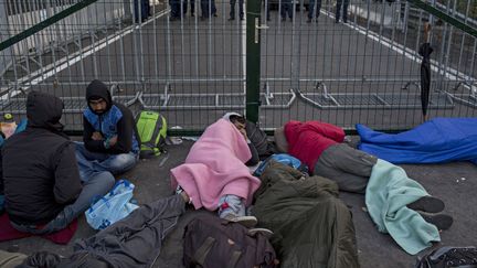 Beaucoup d'entre eux ont pass&eacute; la nuit de lundi &agrave; mardi au pied de cette cl&ocirc;ture, c&ocirc;t&eacute; serbe, esp&eacute;rant encore pouvoir entrer en Hongrie. ( MARKO DJURICA / REUTERS)