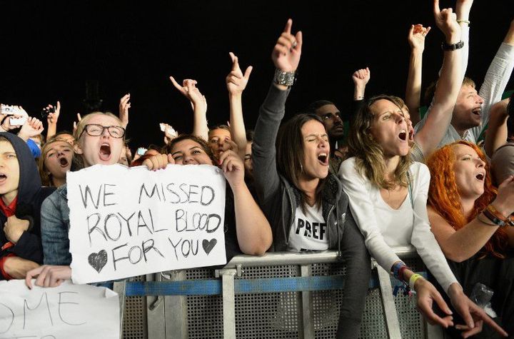 Des fans d'Arctic Monkeys durant le concert de Rock en Seine
 (Bertand Gay / AFP)