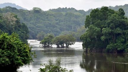 La forêt équatoriale à Ndjolé (nord-ouest du Gabon), traversée par la rivière Ogooe. Photo prise le 14 janvier 2017. (ISSOUF SANOGO / AFP)