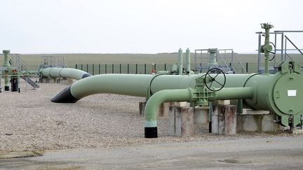 Un gazoduc dans une centrale de compression de GRTgaz, à Morelmaison (Vosges), le 29 mars 2013. (JEAN-CHRISTOPHE VERHAEGEN / AFP)