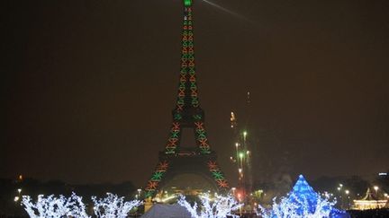 La Tour Eiffel illuminée (AFP/BERTRAND LANGLOIS)