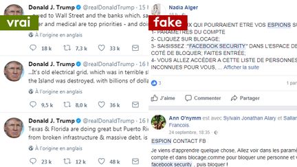 Les tweets de Donald Trump après le passage de l'ouragan Maria et les rumeurs concernant de faux espions sur Facebook.&nbsp; (CAPTURE ECRAN TWITTER / CAPTURE ECRAN FACEBOOK)