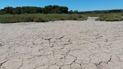 La sécheresse est sévère partout en France. Ici, l'étang d'Ingril, aux Aresquiers, à Frontignan dans Hérault. (ROMAIN BERCHET / RADIO FRANCE)