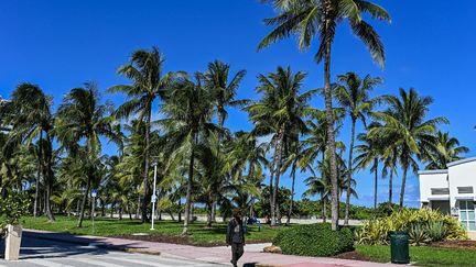 Miami Beach, en Floride, le 30 août 2021. La police américaine a annoncé avoir résolu trois meurtres de jeunes femmes commis il y a une vingtaine d'années en Floride. (CHANDAN KHANNA / AFP)