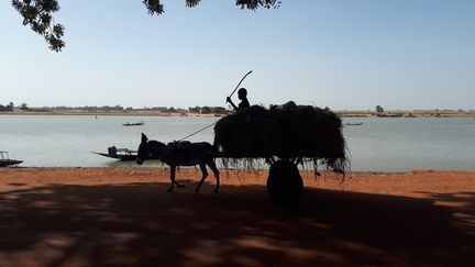 Dans la région de Mopti, au Mali, où les jihadistes ne cessent de gagner du terrain, le 27 juin 2021. (OMAR OUAHMANE / ESP - REDA INTERNATIONALE)