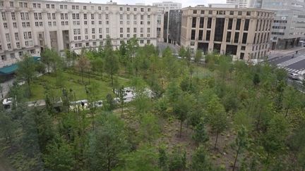 La toute première forêt urbaine parisienne a été inaugurée à Paris, mercredi 12 juin. Près de 500 arbres ont été plantés pour créer des îlots de fraîcheur et baisser la température en ville. (France 2)