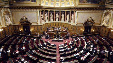 L'h&eacute;micycle du S&eacute;nat lors des d&eacute;bats pr&eacute;c&eacute;dant le vote de la loi p&eacute;nalisant la n&eacute;gation des g&eacute;nocides, le 23 janvier 2012 &agrave; Paris. (ERIC FEFERBERG / AFP)