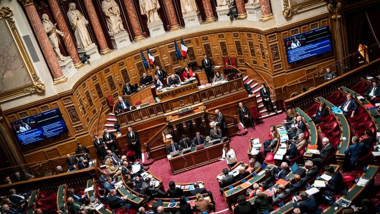 The Senate hemicycle, in Paris, April 12, 2023. (XOSE BOUZAS / HANS LUCAS)