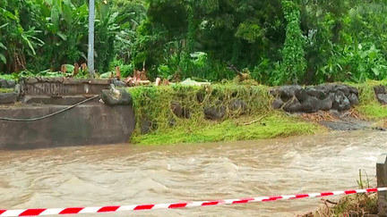 Inondations en Polynésie française : plus de 260 maisons touchées