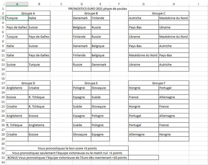 Aperçu d'un concours de pronostics sur l'Euro de football organisé par une entreprise de Vitry-sur-Seine (Val-de-Marne). (COLLECTION PRIVEE)