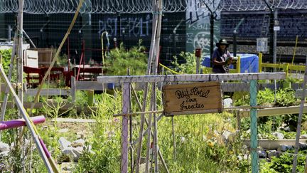 La Friche Belle de Mai, un jardin collectif à Marseille. (MAXPPP)