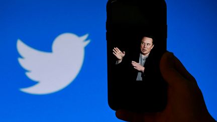 Le milliardaire Elon Musk a racheté Twitter en octobre 2022. (OLIVIER DOULIERY / AFP)