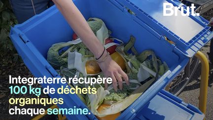 Des fraises, des choux, des plantes pour les tisanes… Cette ferme urbaine cultive des fruits et légumes au pied de la ville.