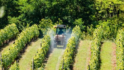 Un épandage de pesticides à Moissac le 23 juillet 2018. (VOISIN / PHANIE / AFP)