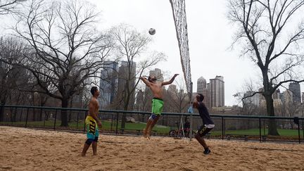 De quoi pousser ces Américains à resortir les tenues de plages, et à improviser une partie de beach volley au milieu de Central Park, le 24 décembre. (DON EMMERT / AFP)