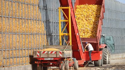 Charente-Maritime : la principale usine de pop-corn de France détruite par un incendie, 