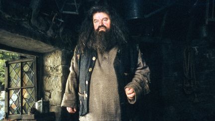 Le comédien Robbie Coltrane interprétant le rôle d'Hagrid dans le film "Harry Potter et le prisonnier d'Azkaban", en 2004.&nbsp; (WARNER BROS / 1492 PICTURES / COLLECTION CHRISTOPHEL / AFP)