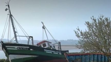 France 3 vous emmène en baie de Somme, dans le cimetière à&nbsp;bateaux du Crotoy (Somme). Un chalutier, abandonné depuis 1995, attire tous les regards. Il ne reste plus qu'à trouver un mécène pour le restaurer.&nbsp;
 (FRANCE 3)