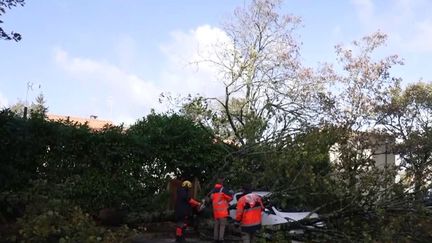 Tempête Domingos : des dégâts importants et au moins 100 000 foyers privés d’électricités