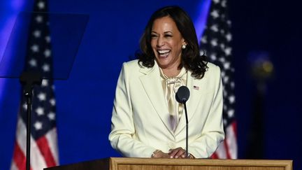 Présidentielle américaine : qui est Kamala Harris, la nouvelle vice-présidente des États-Unis ?