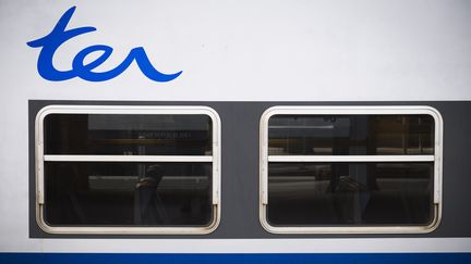 Logo du TER (Transport express régional) de la SNCF, le 24 février 2018. (JOEL SAGET / AFP)