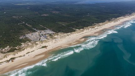 Vue a&eacute;rienne de la for&ecirc;t de pins et de la plage de Naujac-sur-Mer (Gironde) le 11 ao&ucirc;t 2013. (LEROY FRANCIS / HEMIS.FR / AFP)