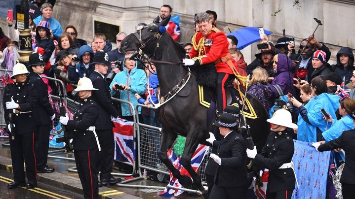 Un cheval recule et percute des membres du public lors de la procession du couronnement du roi Charles III et de la reine Camilla, le 6 mai, à Londres (Royaume-Uni). (SEBASTIEN BOZON / POOL / AFP)