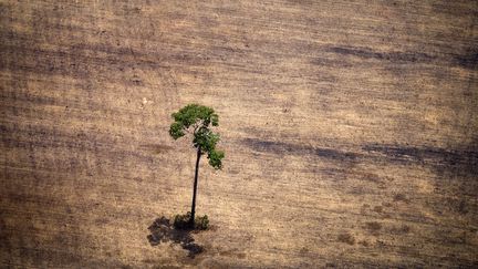  (RAPHAEL ALVES / AFP)