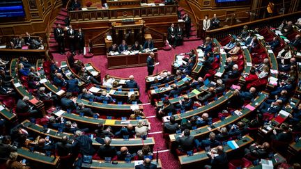 Une séance de questions au gouvernement au Sénat, à Paris, le 23 novembre 2022. (XOSE BOUZAS / HANS LUCAS / AFP)