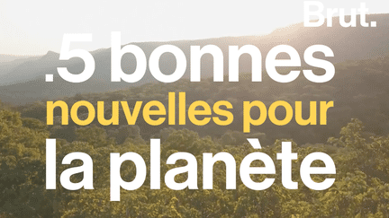 Entre le réchauffement climatique et l’extinction de certaines espèces, quelques nouvelles réjouissantes pour la planète arrive à émerger ça et là.