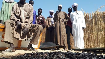 Des hommes de la région du lac Tchad, devant le maigre produit de leur pêche (CLAUDE GUIBAL / RADIO FRANCE)