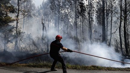 Un pompier intervient sur un incendie près de Saumos, en Gironde, le 14 septembre 2022. (THIBAUD MORITZ / AFP)