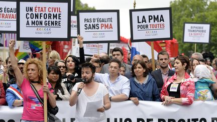 Au premier rang, la maire socialiste de Paris Anne Hidalgo et une partie cdu conseil municipal ont battu le pav&eacute;, le 28 juin 2014. (MIGUEL MEDINA / AFP)