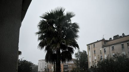 La pluie tombe sur la ville d'Hyères (Var), le 31 mars 2024. (MAGALI COHEN / HANS LUCAS / AFP)