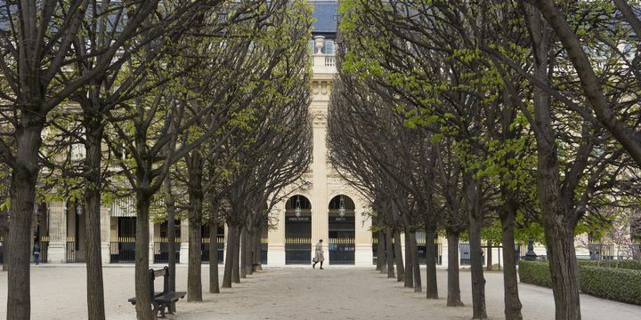 Les jardins du Palais-Royal seront le cadre d'une expérience olfactive, à l'occasion des Journées du patrimoine.
 (ESCUDERO Patrick / hemis.fr / Hemis)