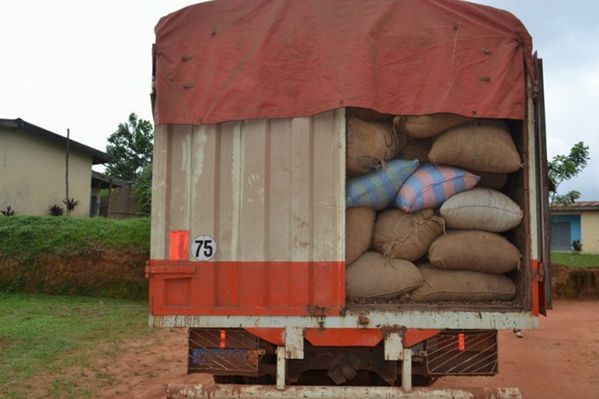 Fin octobre 2017, trois tonnes de cacao sont saisies à Bouadoukro.  (AIP )